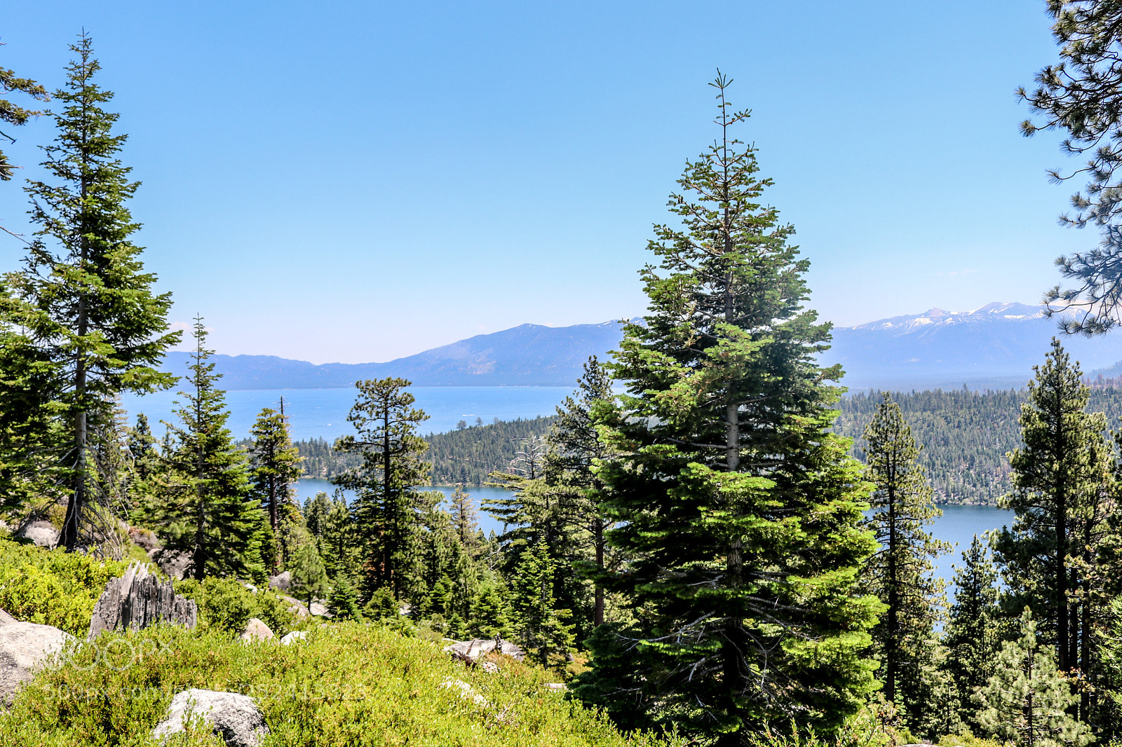 Canon EOS 80D sample photo. Squaw valley ski resort photography