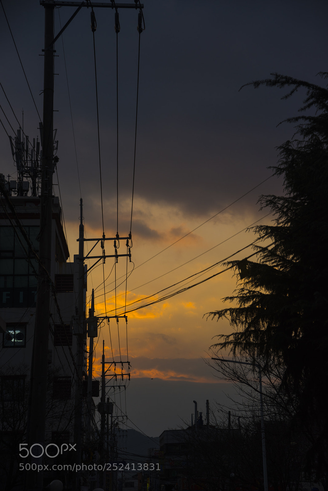 Nikon D810 sample photo. In a town 3 photography