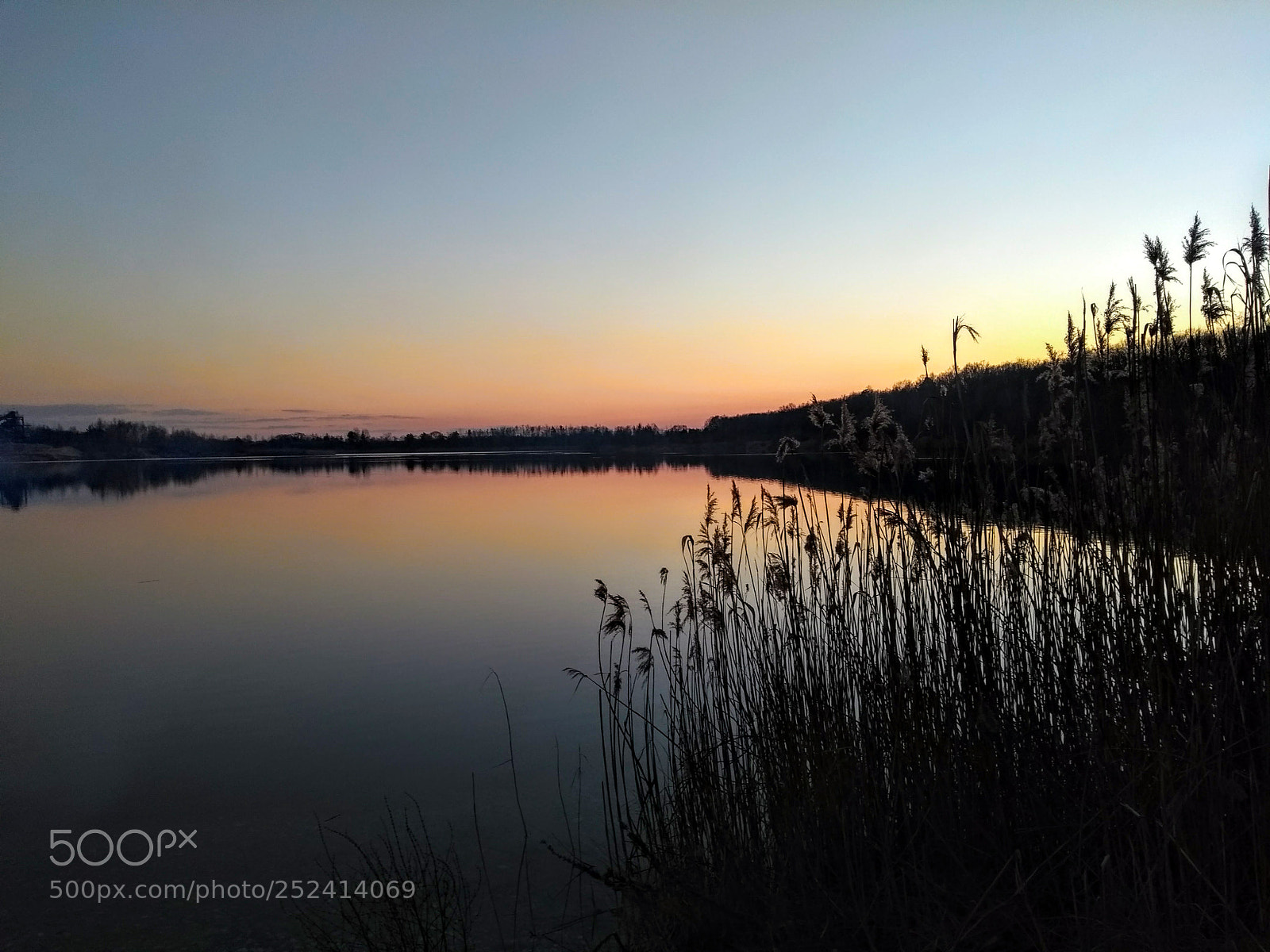 Motorola Moto G (5th Gen) sample photo. Untitled photography