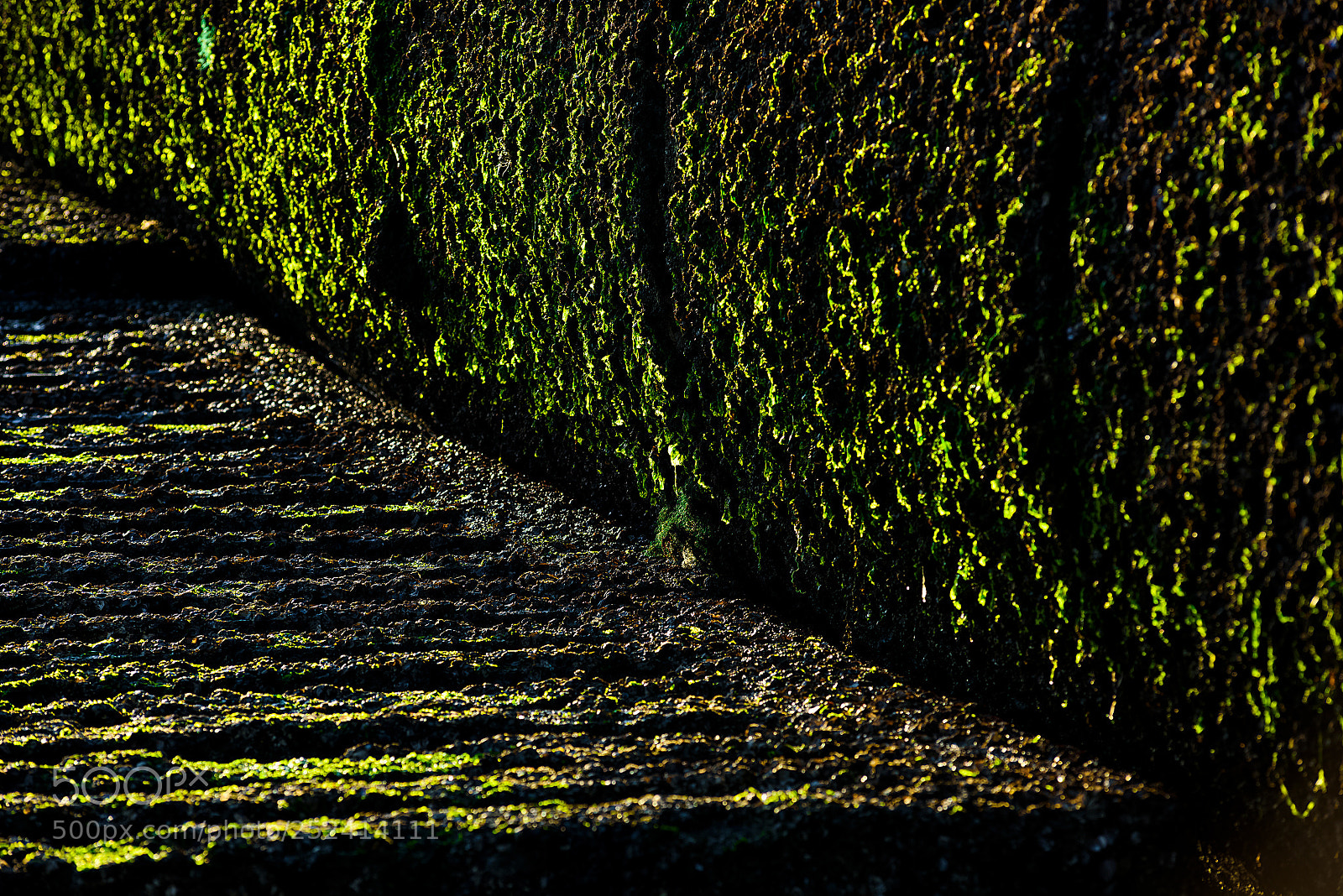 Nikon D810 sample photo. 光影 photography