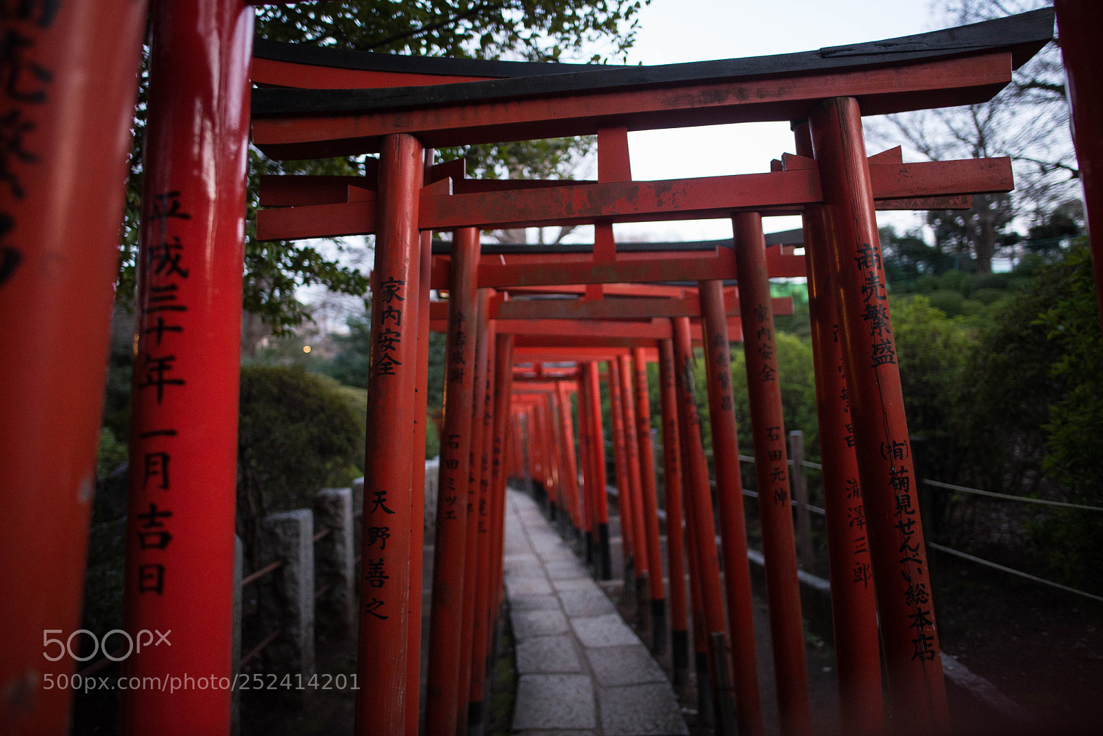 Nikon D600 sample photo. Tori photography