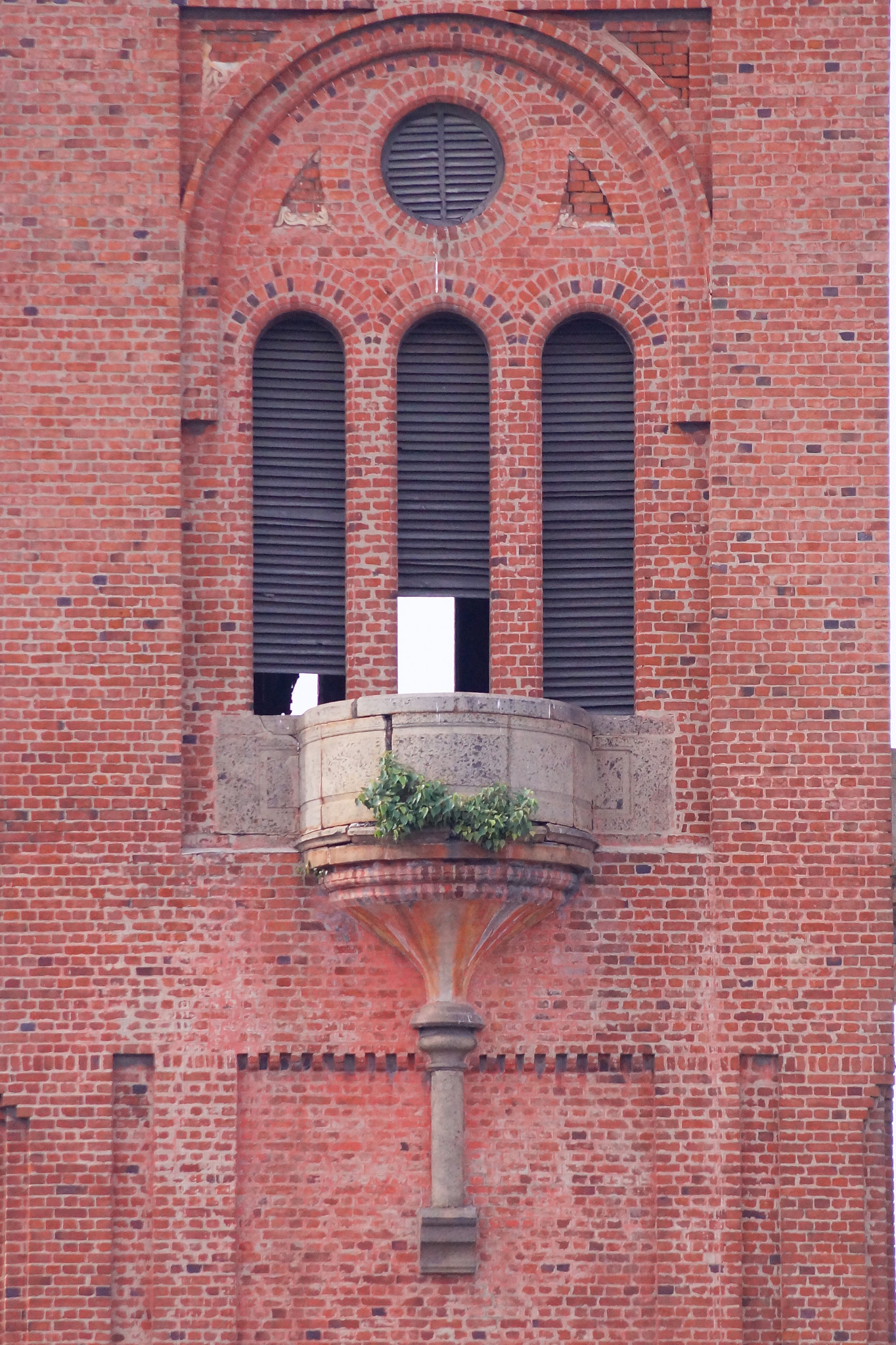 Sony DT 55-200mm F4-5.6 SAM sample photo