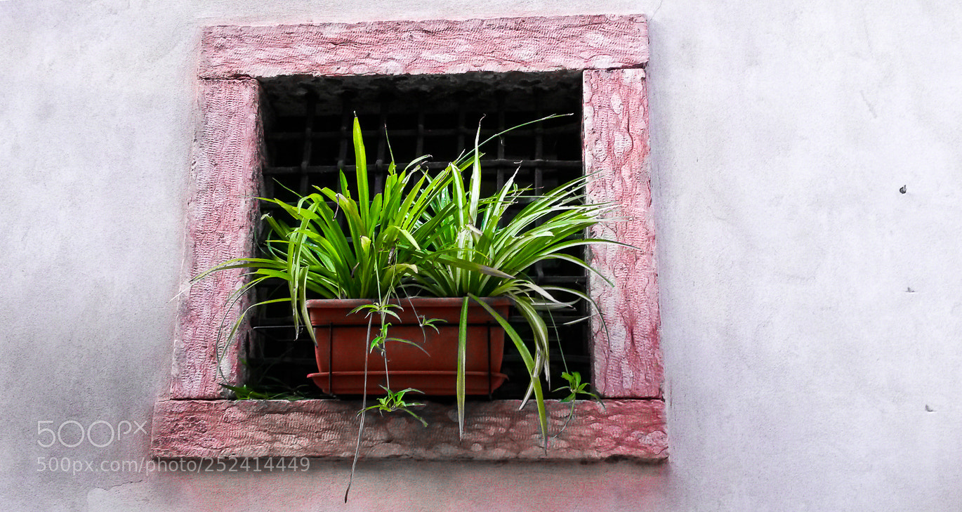 Samsung Galaxy S4 Mini sample photo. Lagodigarda photography
