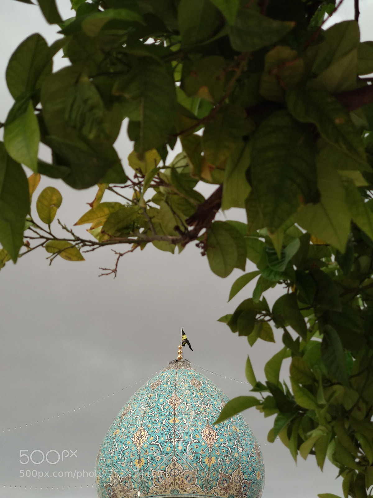 Xiaomi Mi A1 sample photo. Shahcheragh photography
