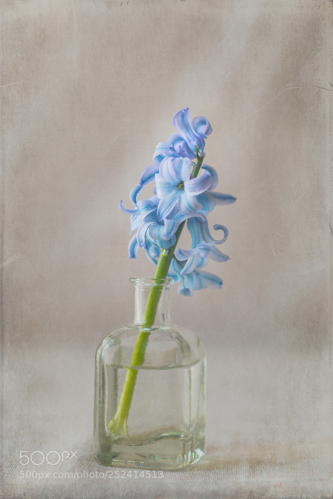 Canon EOS 70D sample photo. Otra primavera juntos photography