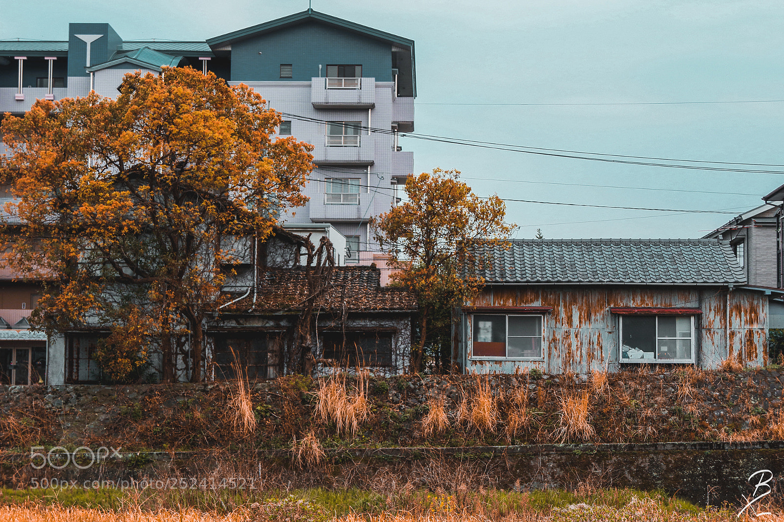 Canon EOS 7D Mark II sample photo. Someone else's story photography