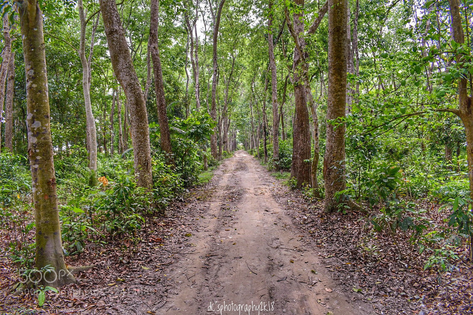 Nikon D3400 sample photo. Untitled photography