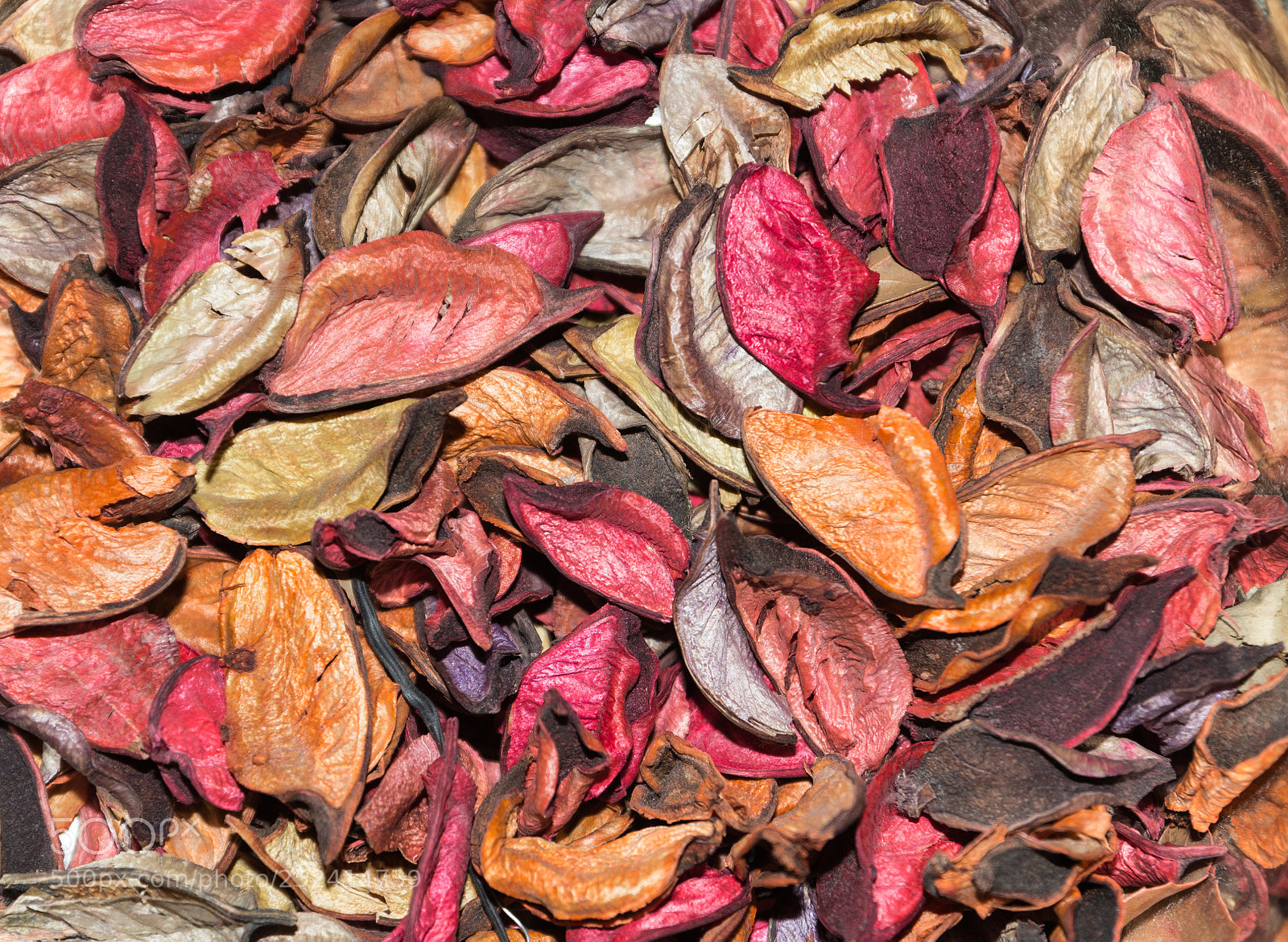 Canon EOS 60D sample photo. Dried rose petals photography