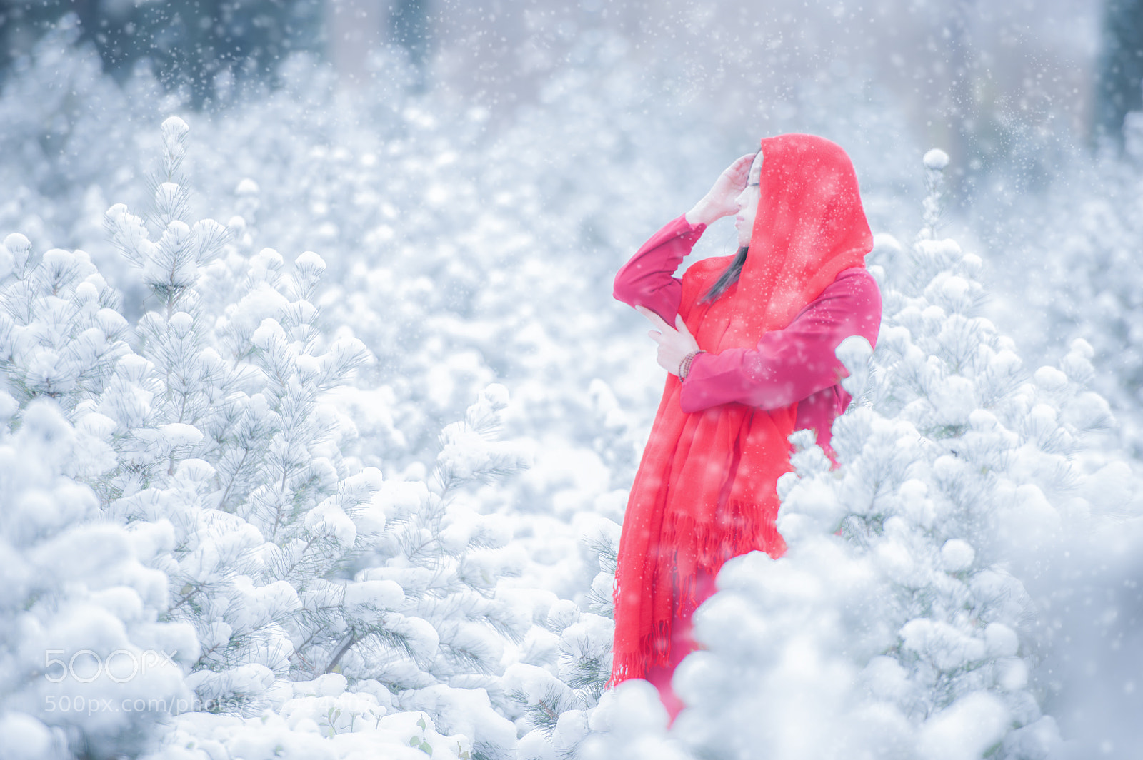 Nikon D700 sample photo. White & red photography