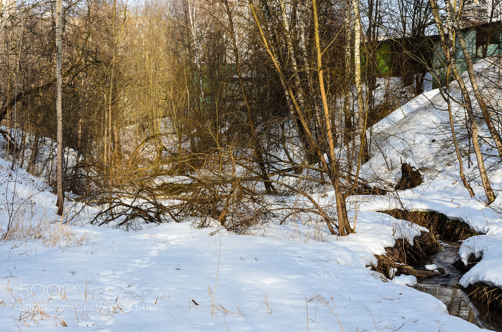 Nikon D5100 sample photo. 330 photography