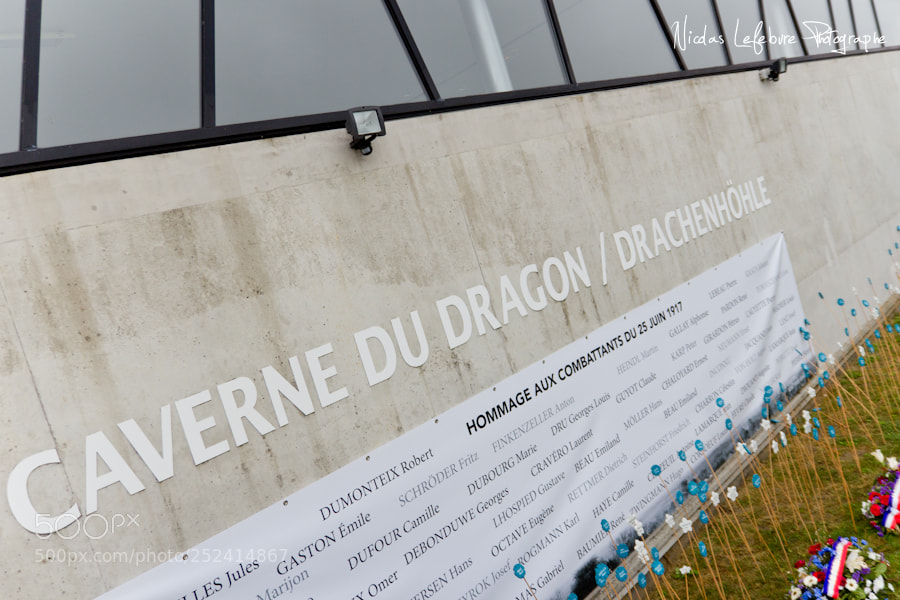 Canon EOS 60D sample photo. Nicolas lefebvre photographe photography