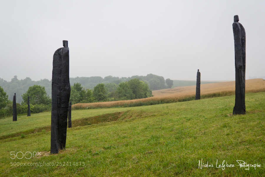 Canon EOS 60D sample photo. Nicolas lefebvre photographe photography