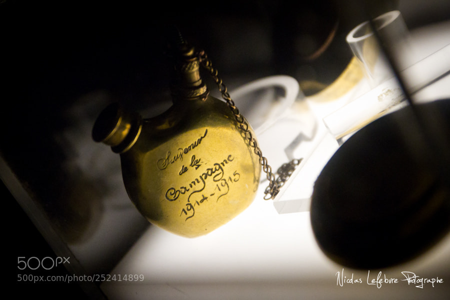 Canon EOS 60D sample photo. Nicolas lefebvre photographe photography