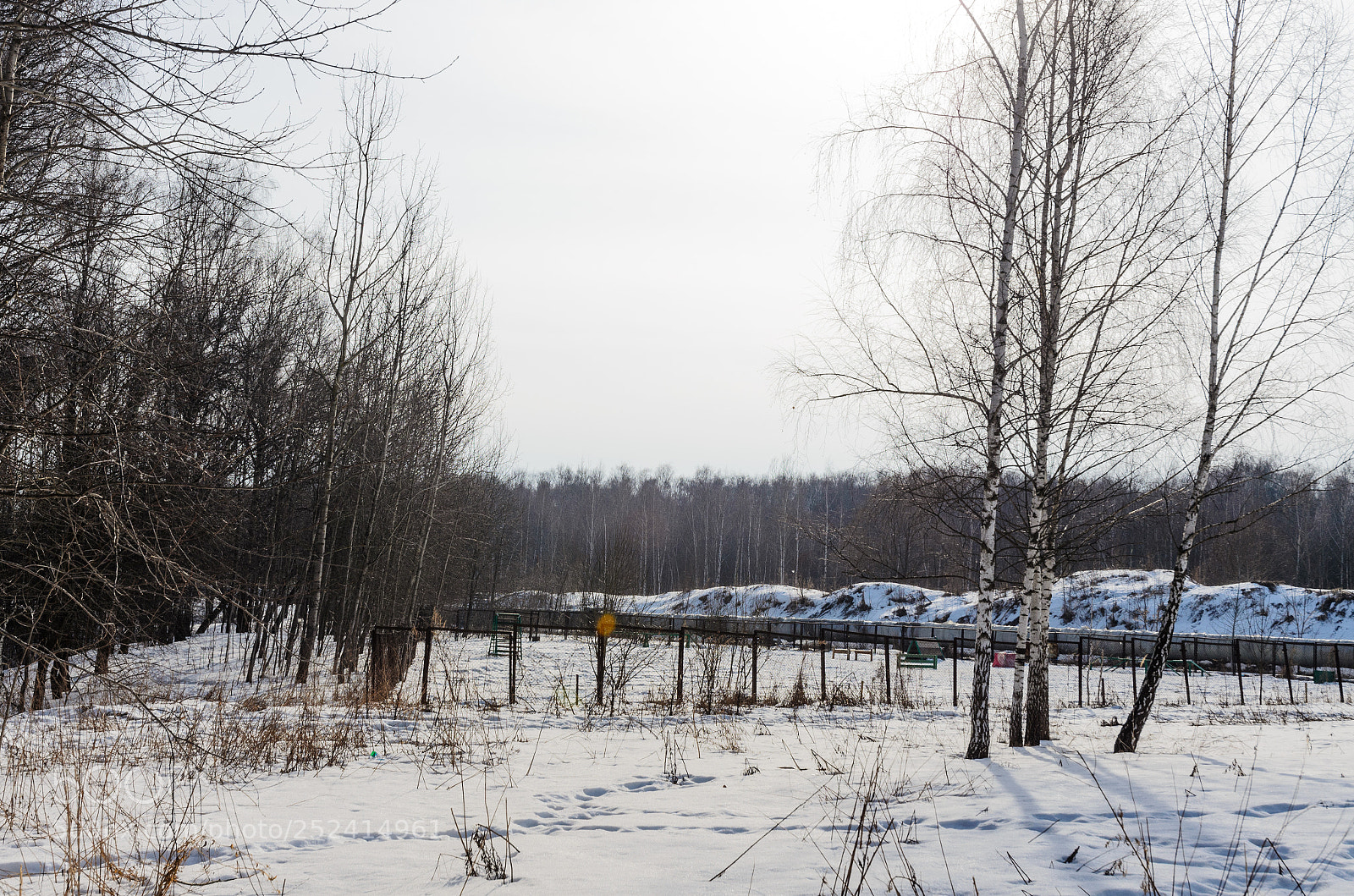 Nikon D5100 sample photo. 331 photography