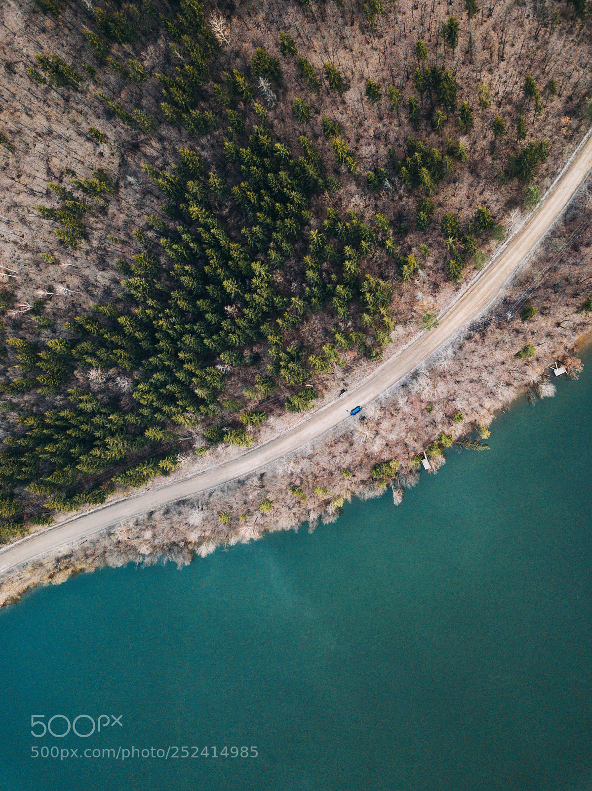 DJI FC220 sample photo. Aerial view of pine photography