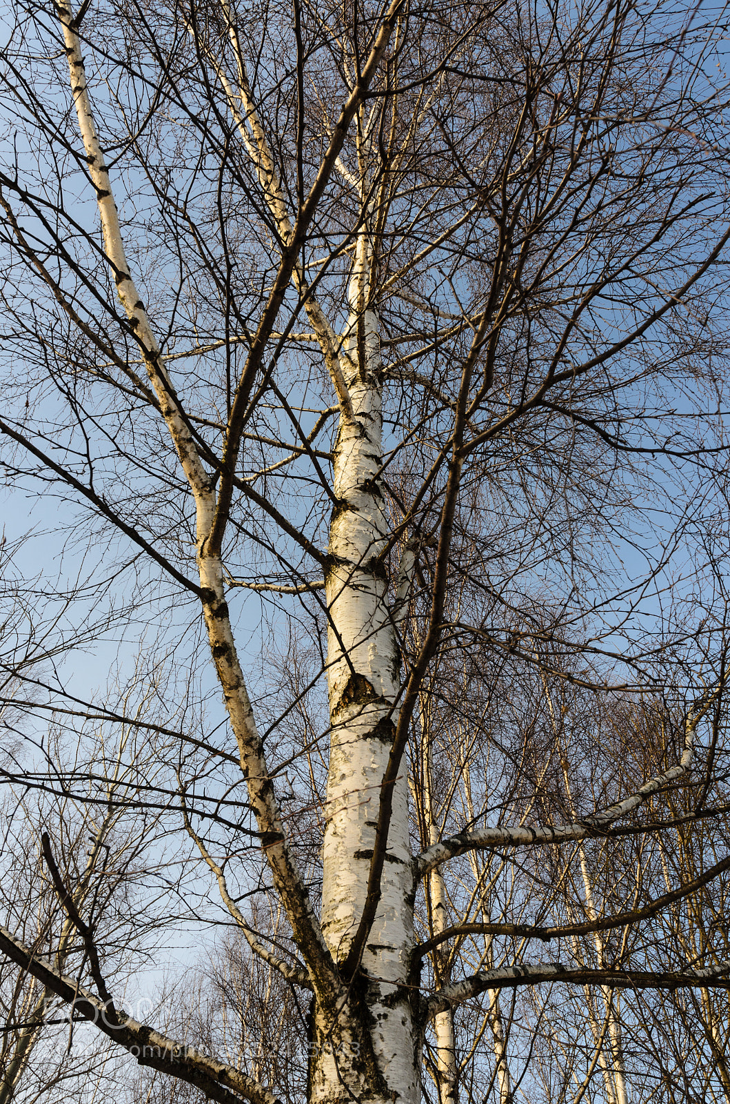 Nikon D5100 sample photo. 332 photography