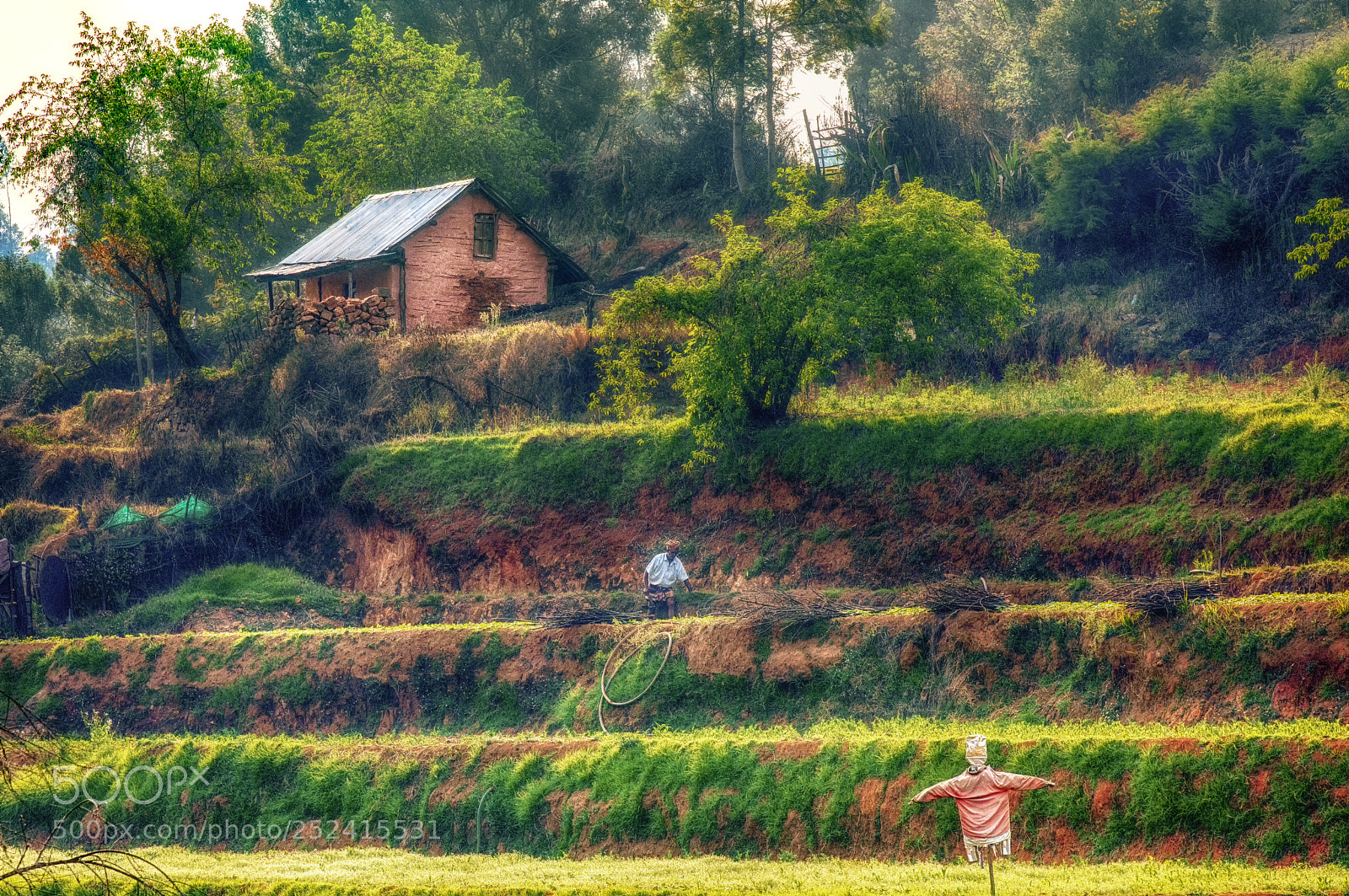 Canon EOS 5D Mark IV sample photo. Step farming @ mannavanur photography