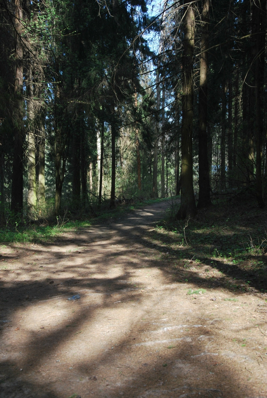 Nikon D60 sample photo. Bbe orig photography