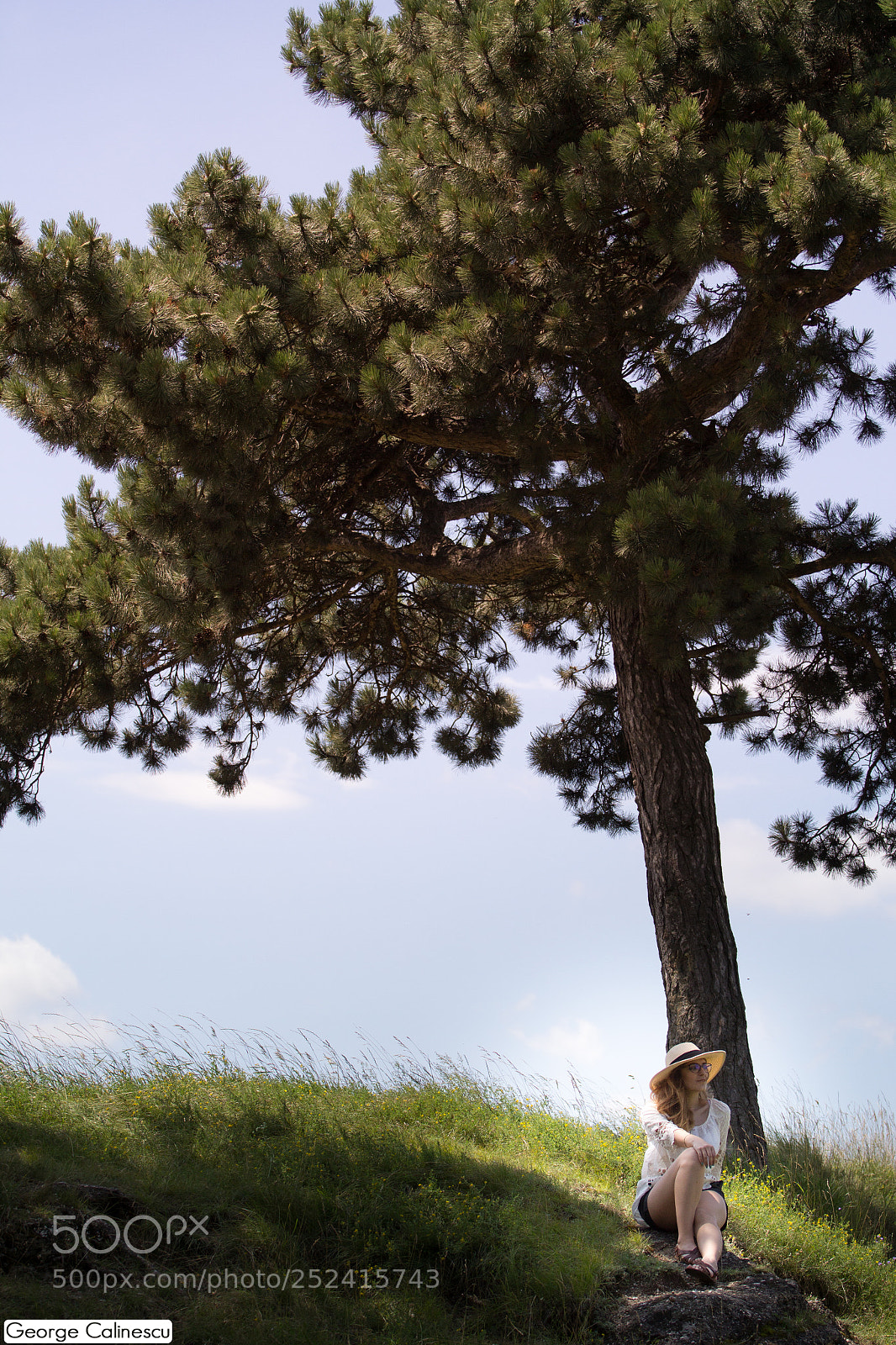 Canon EOS 60D sample photo. Daeo photography