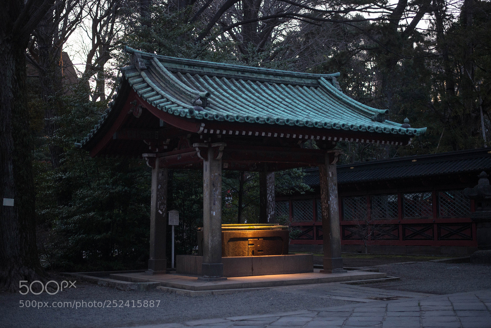 Nikon D600 sample photo. Nezu photography