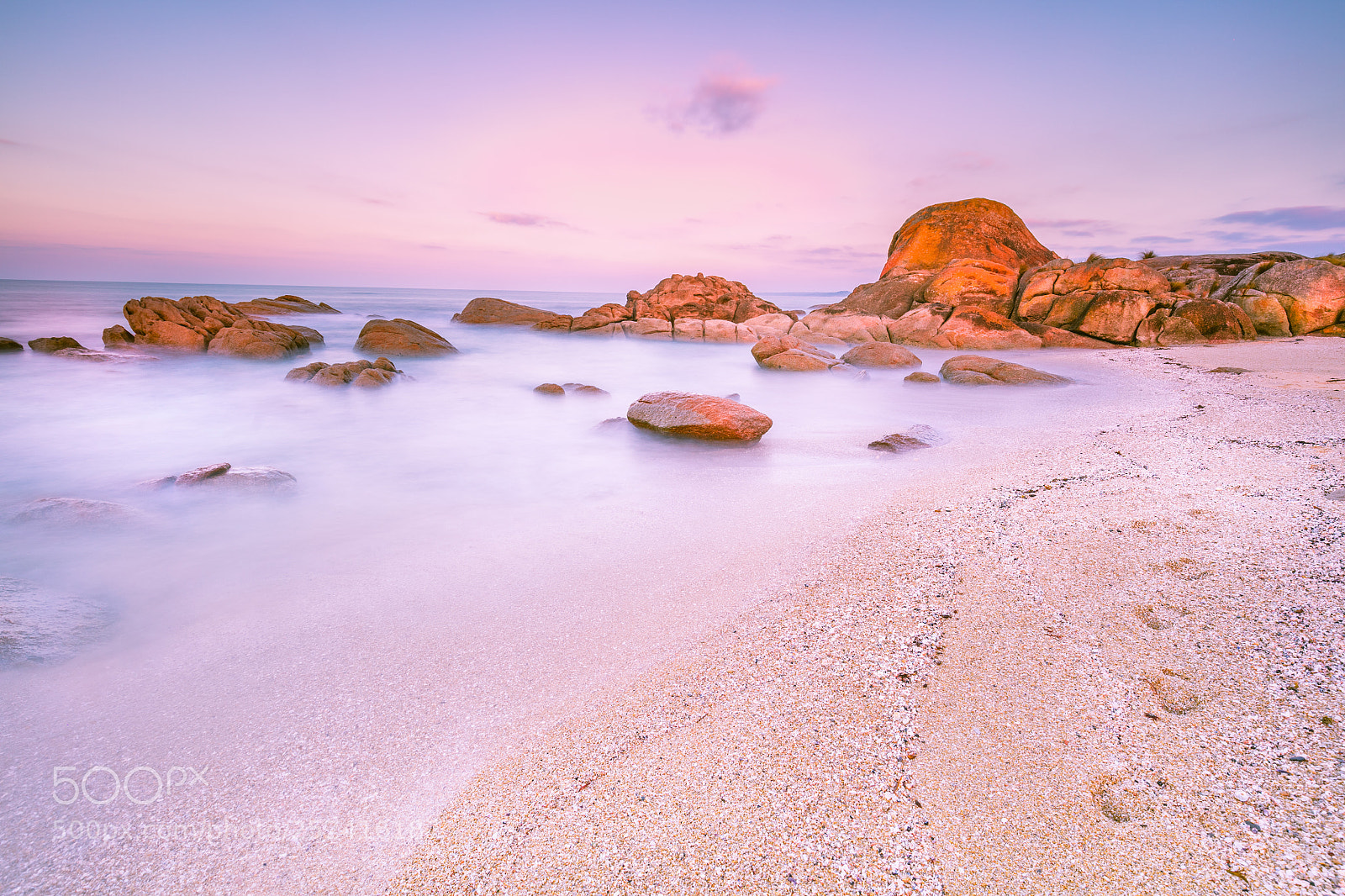 Canon EOS 5DS sample photo. Cape conran coastal park photography