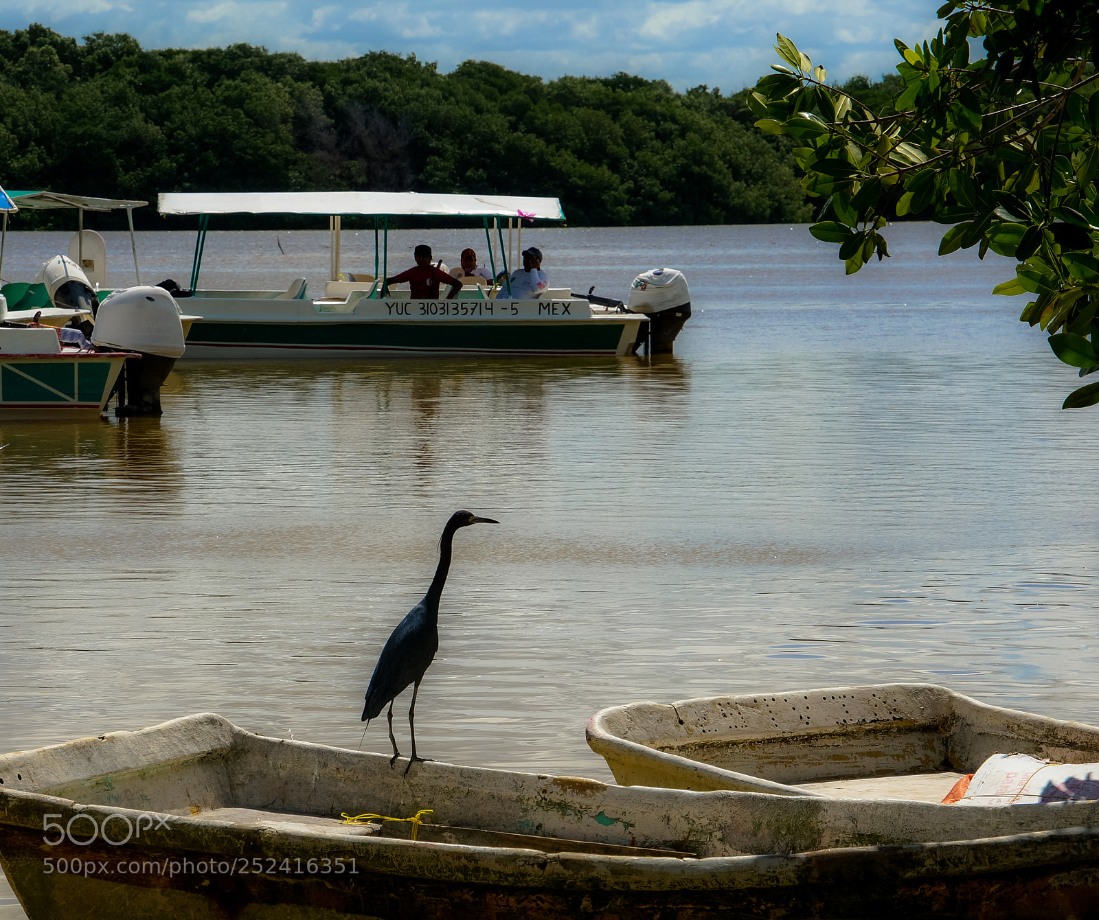 Sony Alpha NEX-5R sample photo. Police heron photography