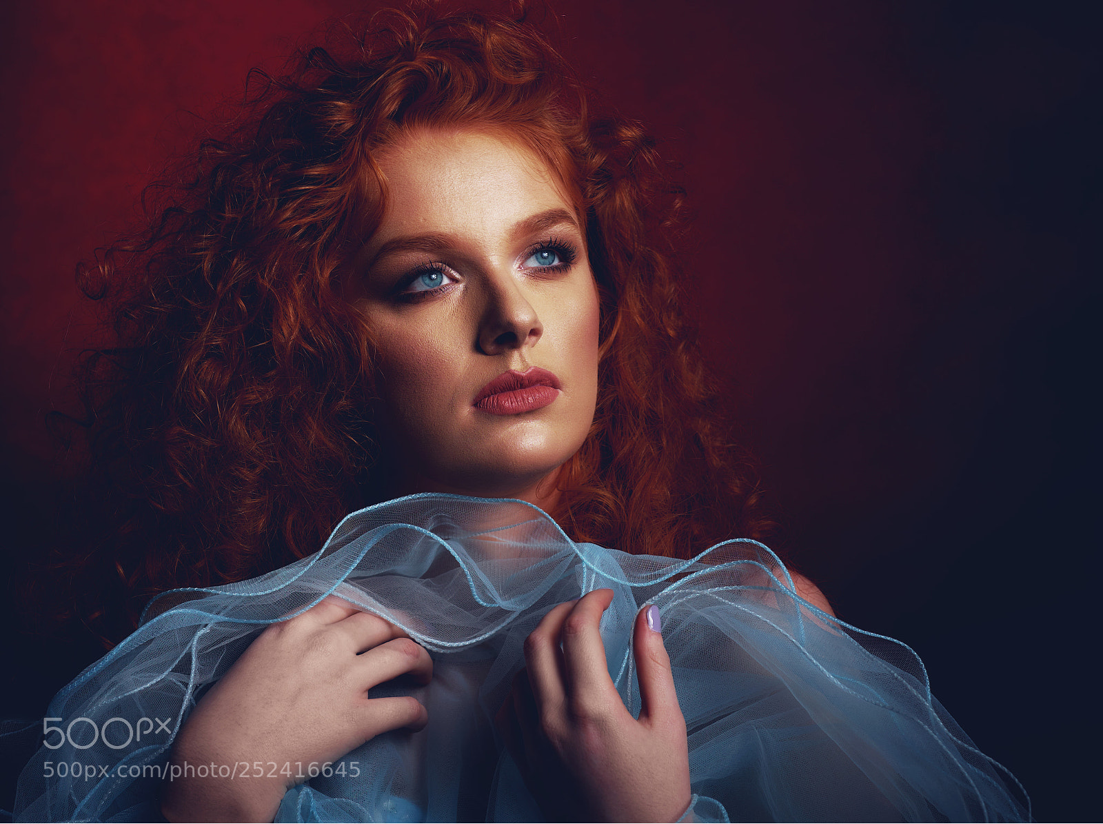 Fujifilm X-T2 sample photo. Danique photography