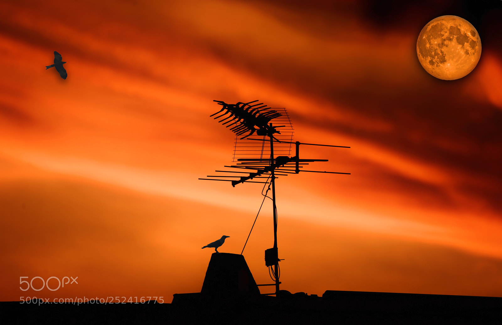 Nikon D600 sample photo. Colorful sky photography