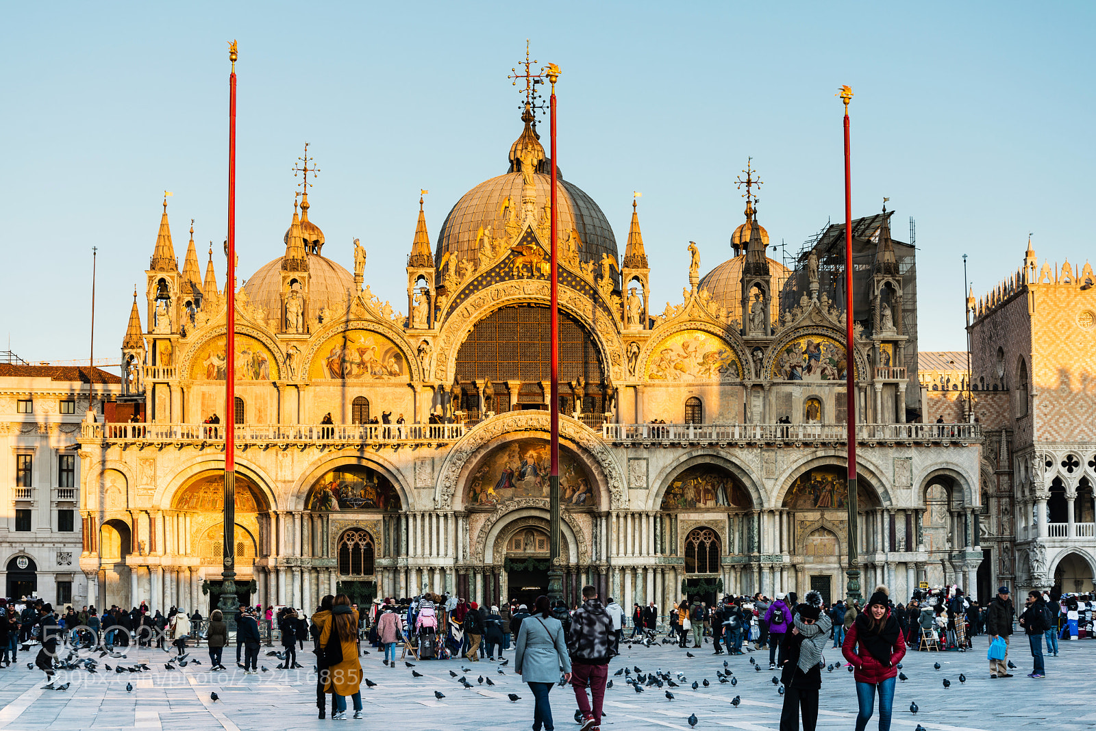 Nikon D800 sample photo. Venice, italy - december photography