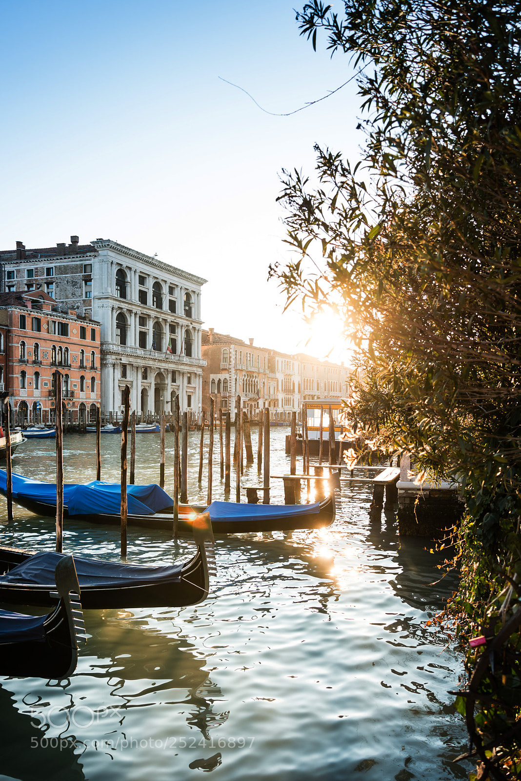 Nikon D800 sample photo. Venice, italy - december photography