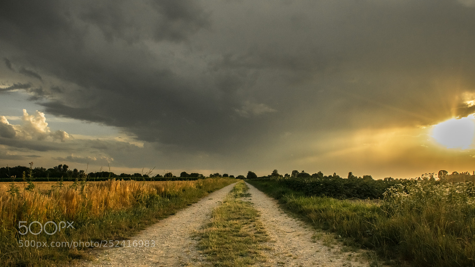 Nikon D5300 sample photo. Lane into a thunderstorm photography
