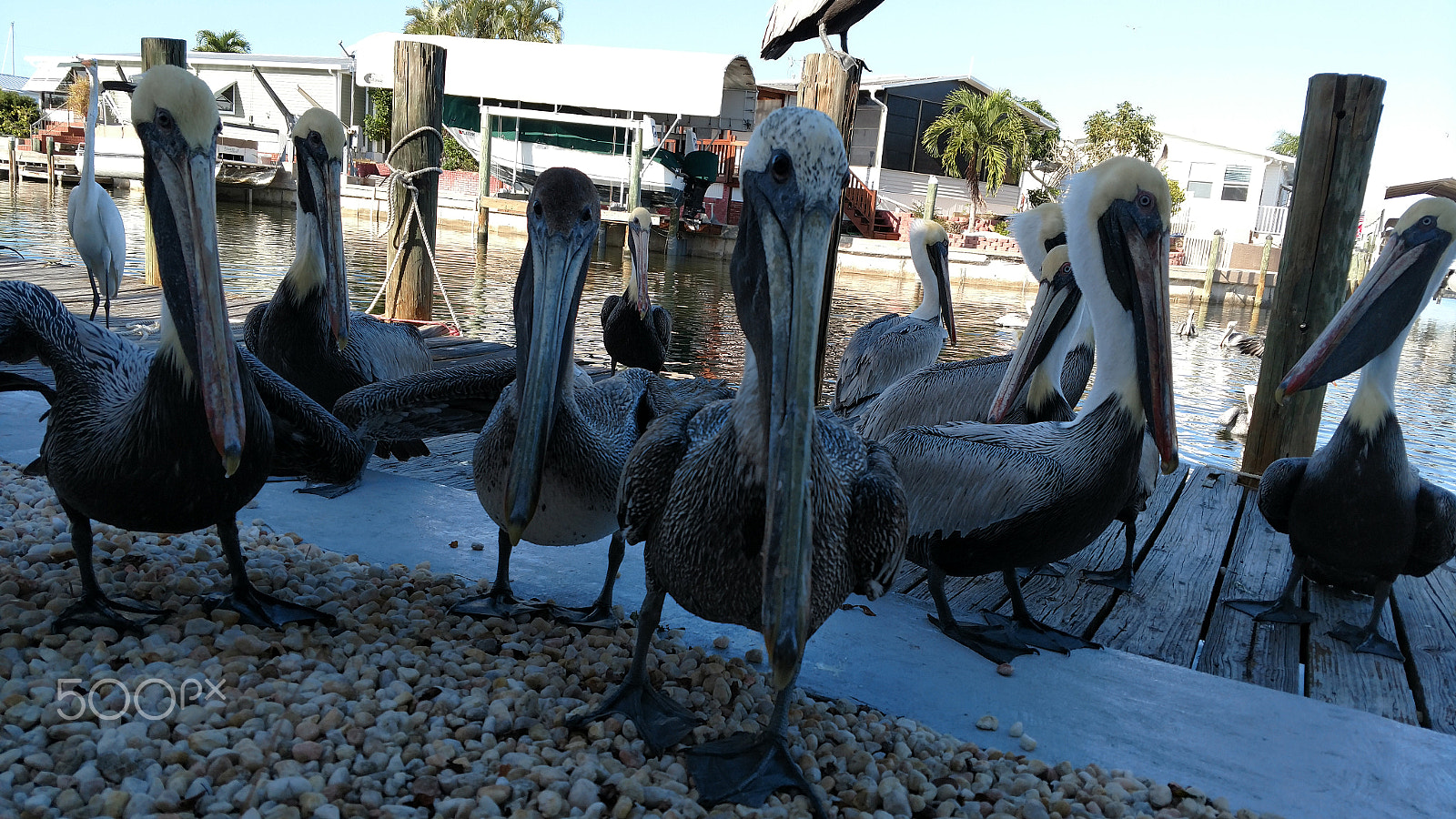 Motorola XT1650 sample photo. 2.jpg photography