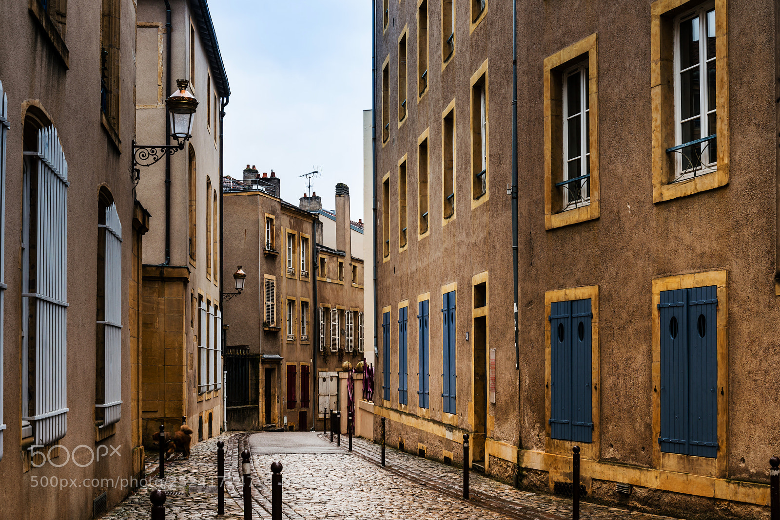 Nikon D800 sample photo. Street view of downtown photography