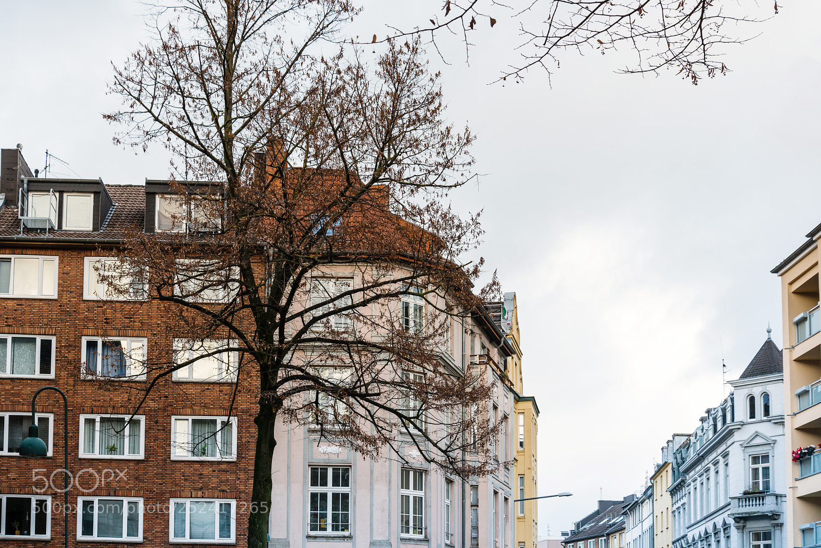 Nikon D800 sample photo. Beautiful street view of photography