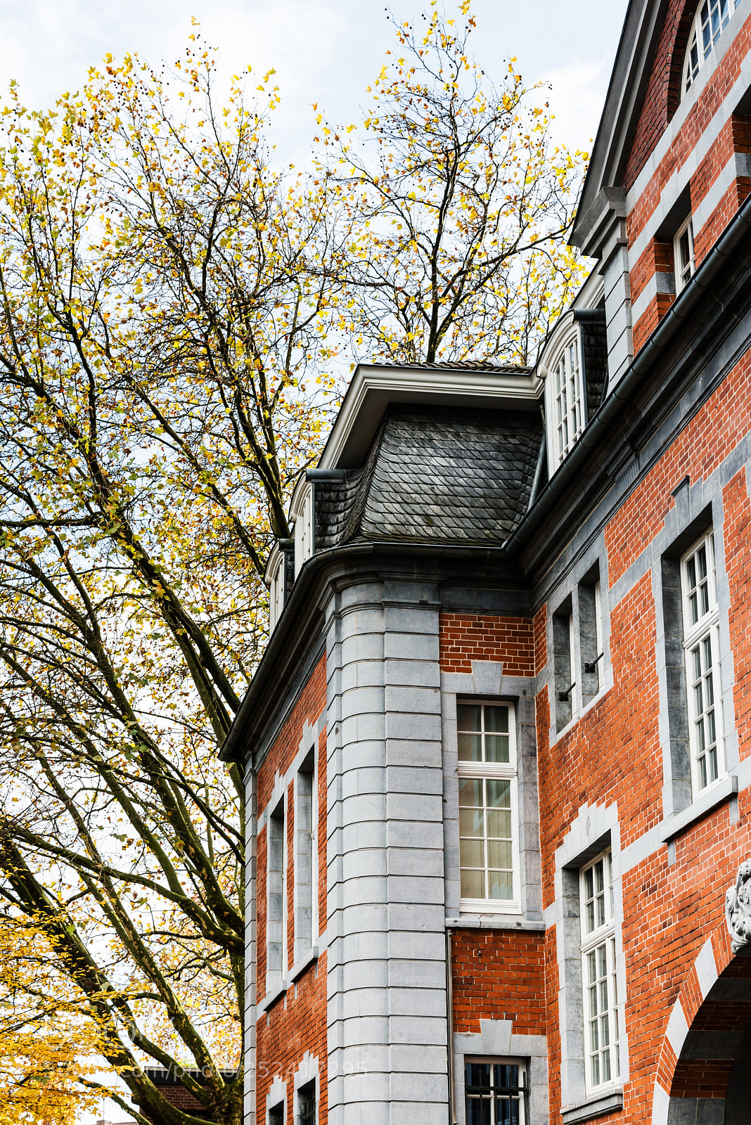 Nikon D800 sample photo. Old town buildings in photography