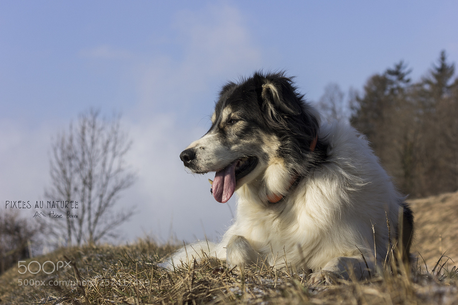Canon EOS 600D (Rebel EOS T3i / EOS Kiss X5) sample photo. Pacha photography