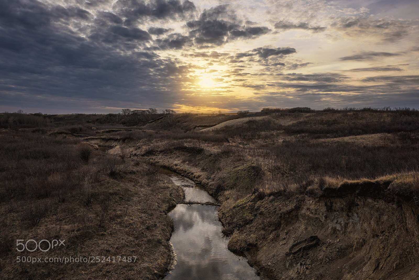 Nikon D810 sample photo. Upstream photography