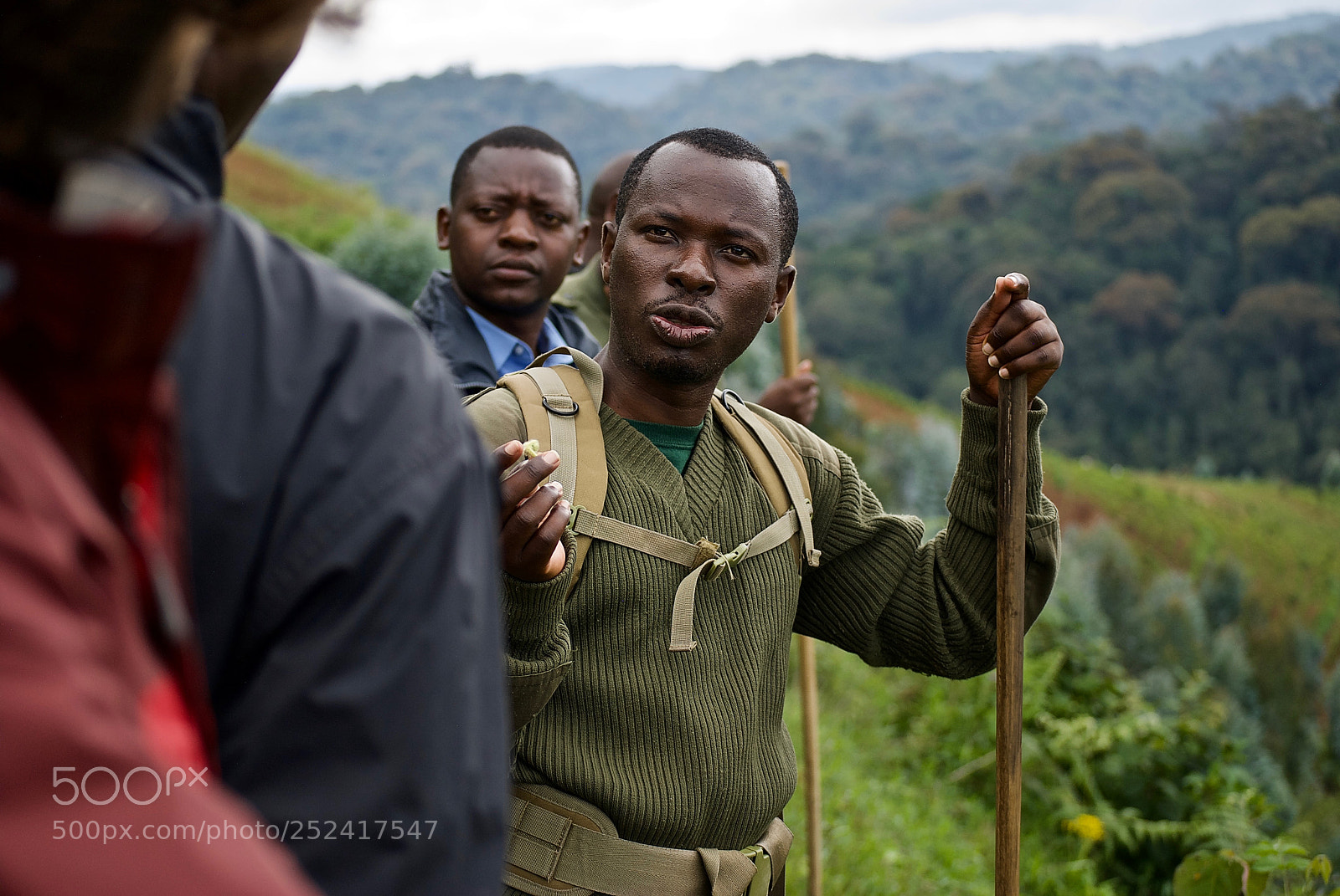 Nikon D60 sample photo. Nyungwe forest hiking guide photography