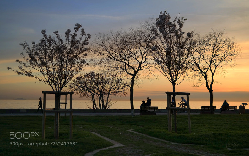Samsung NX300 sample photo. ... photography