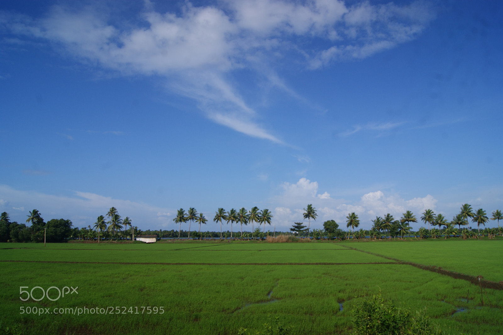 Sony Alpha DSLR-A390 sample photo. The sky has a photography