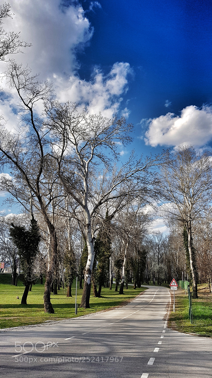 Samsung Galaxy S8 sample photo. Walking in the afternoon photography