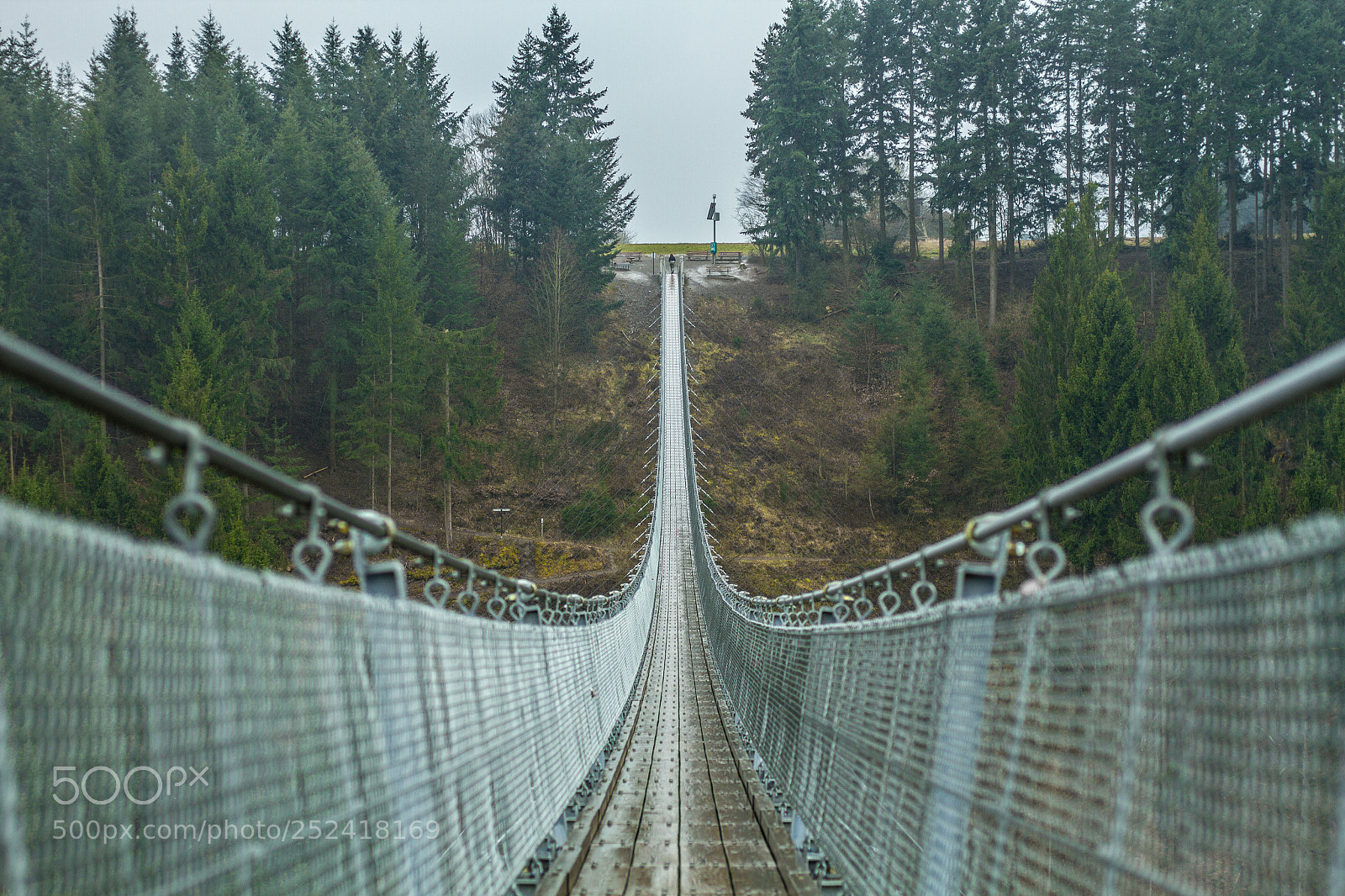 Canon EOS 7D sample photo. Geierlay suspensnion bridge photography