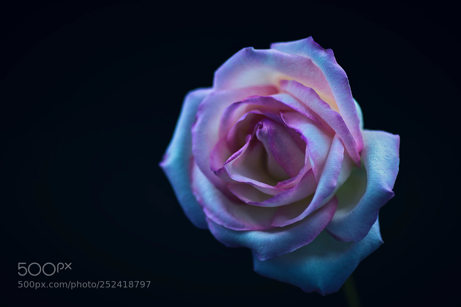 Nikon D810 sample photo. "deep inside" photography