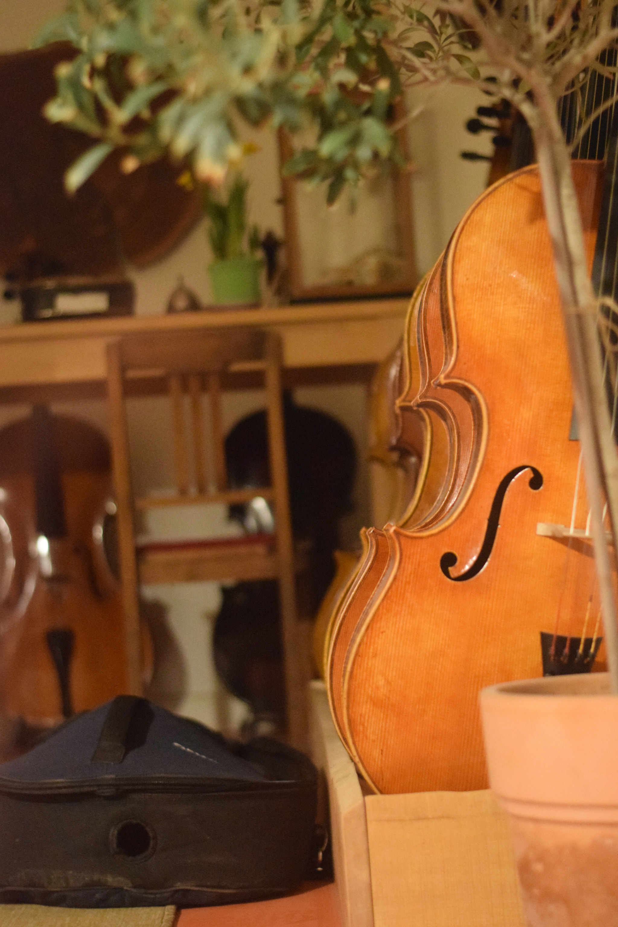Nikon AF-S Nikkor 50mm F1.8G sample photo. Violins photography