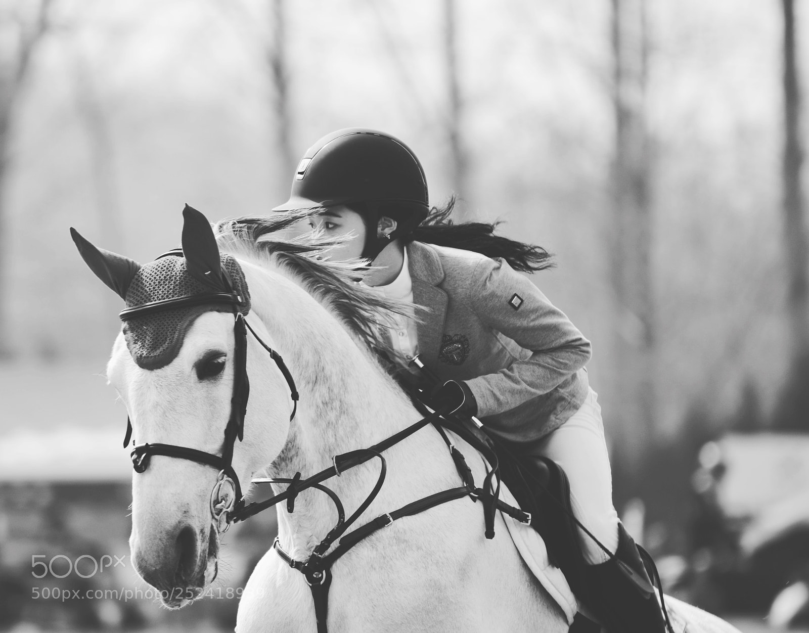 Nikon D810 sample photo. Untitled photography