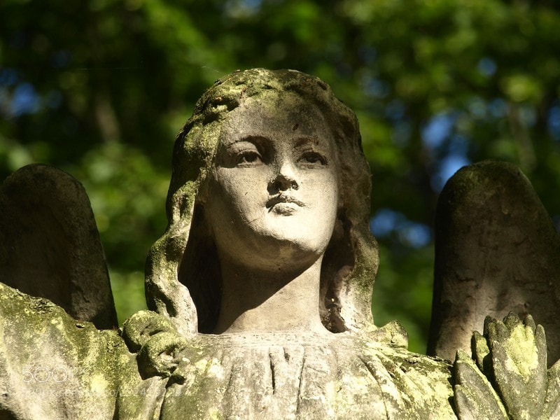 Olympus E-510 (EVOLT E-510) sample photo. Angel photography