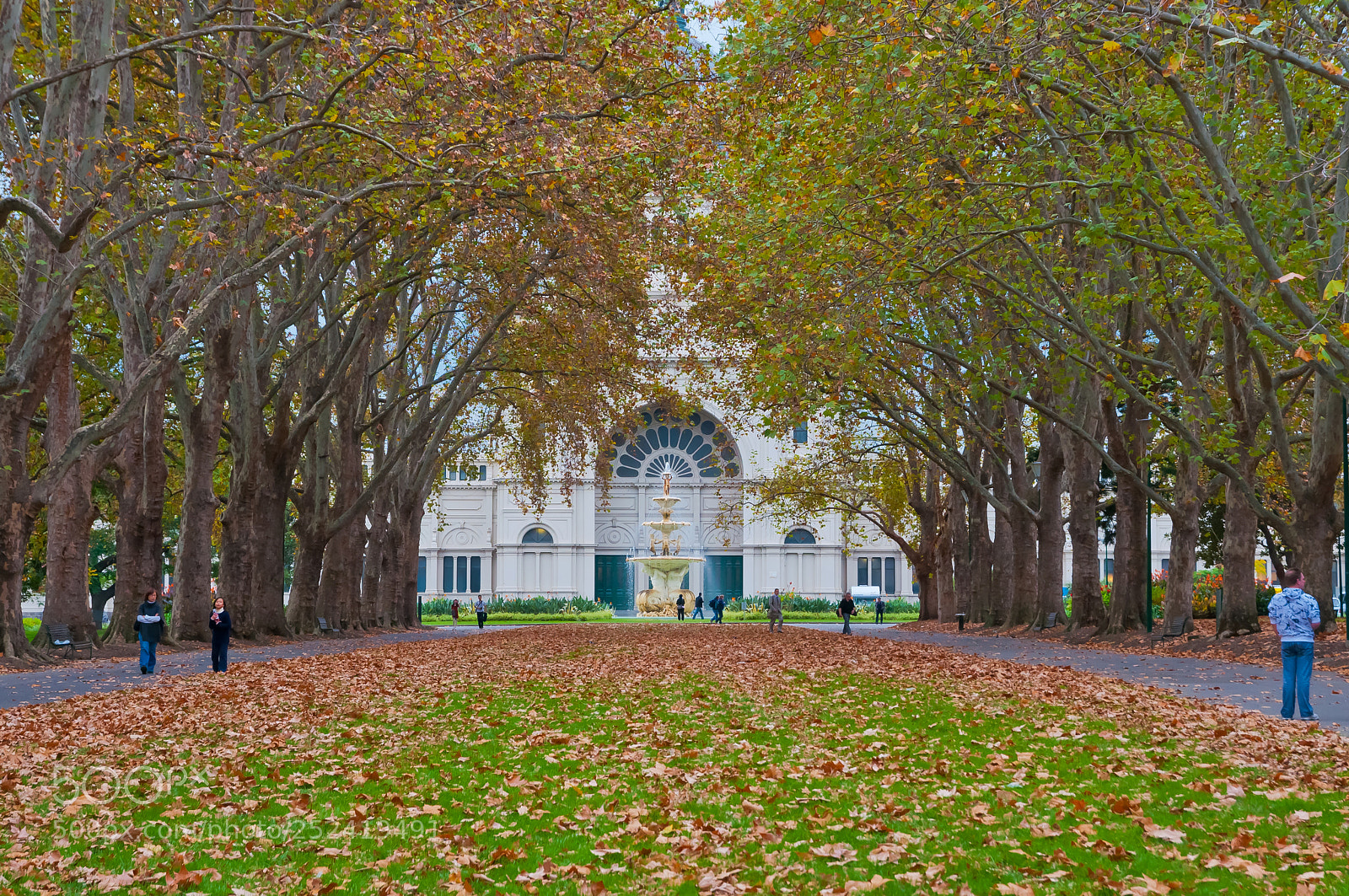 Nikon D90 sample photo. Autumn at the carlton photography