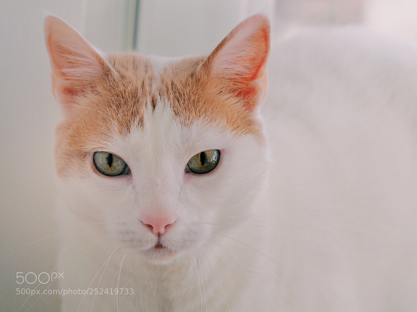 Olympus PEN-F sample photo. Beautiful minka photography