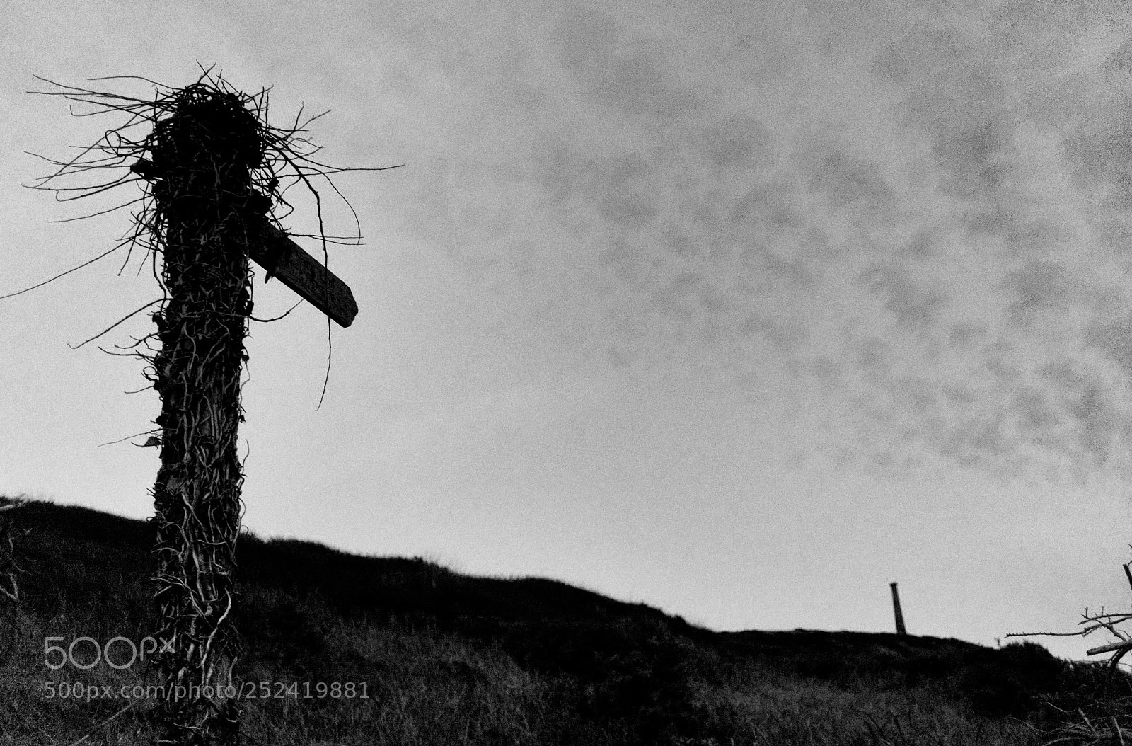 Fujifilm X-Pro1 sample photo. Aberystwyth photography