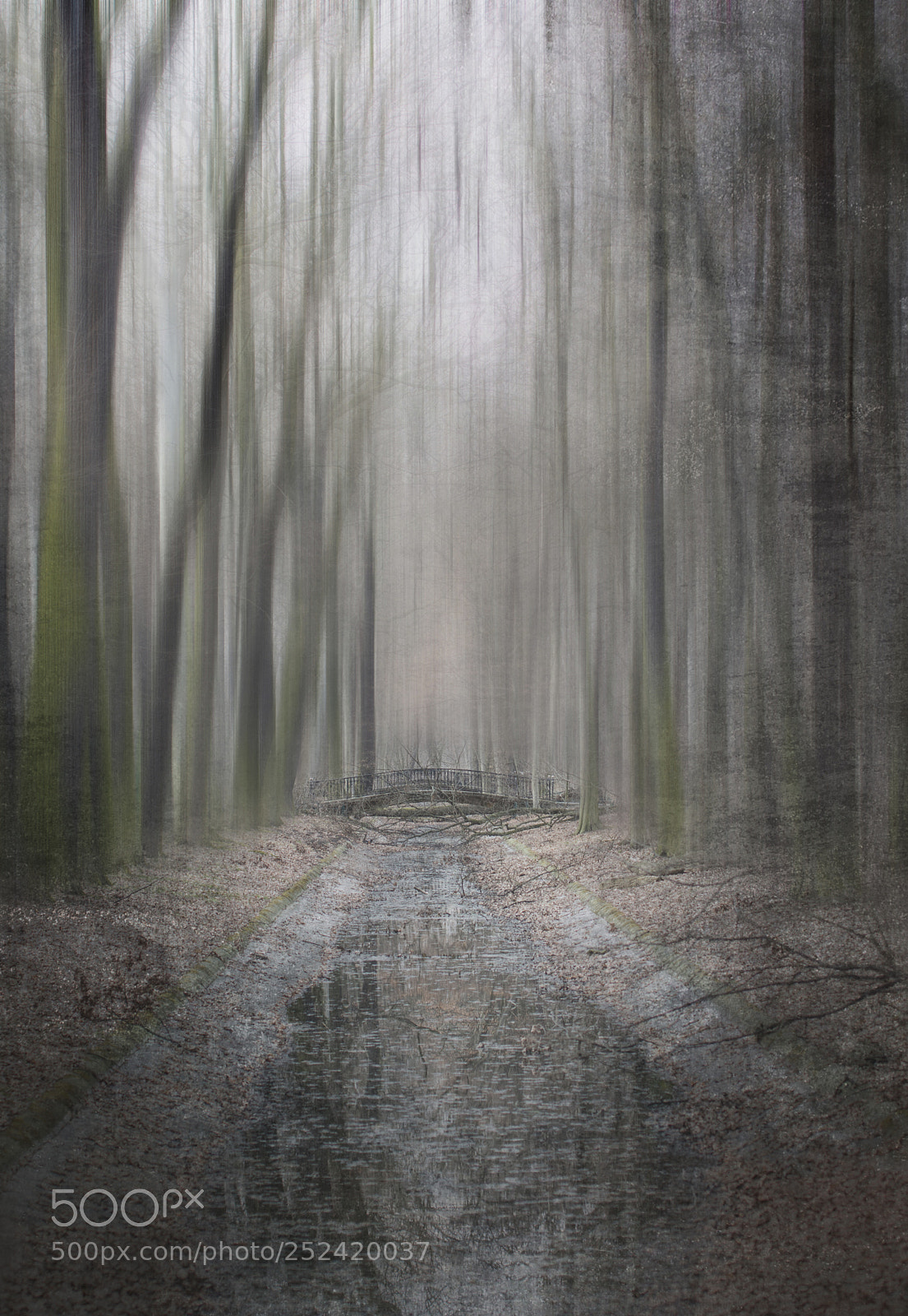 Nikon D7200 sample photo. Brücke im park photography
